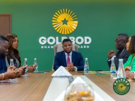 Abronye DC praises Sammy Gyamfi’s leadership as GoldBod soars