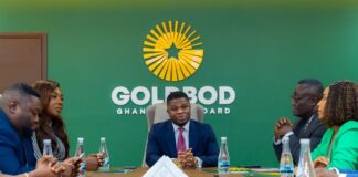 Abronye DC praises Sammy Gyamfi’s leadership as GoldBod soars