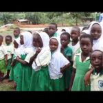 Teaching in local languages premature without clear implementation plan – Dr. Anti