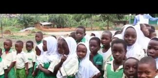 Teaching in local languages premature without clear implementation plan – Dr. Anti