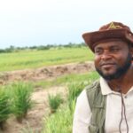 Commercial Rice Growers urge prioritisation of local rice consumption