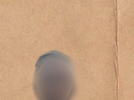 Suspect who stabbed firefighter in Adjiriganor arrested