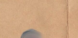 Suspect who stabbed firefighter in Adjiriganor arrested