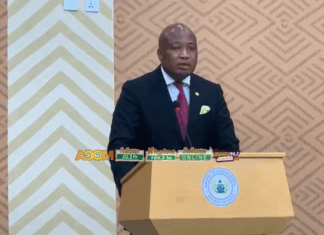 Minister for Foreign Affairs, Samuel Okudzeto Ablakwa, has confiscated 379 Ghana Cards from foreigners and issued a stern warning to all foreigners attempting to acquire a Ghanaian passport. #AdomNews