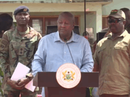President Mahama launches Vegetable Development Project to boost production, reduce imports