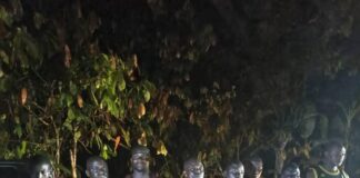 NAIMOS arrests 10 armed thugs in Aowin