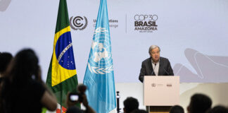 COP30: Africa looks up to tripling adaptation finance by 2030