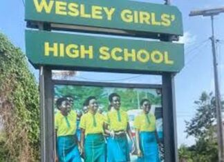 Why the Marhguy and Wesley Girls disputes are not the same conversation