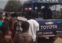 Police arrest three for stealing sardines from accident truck