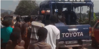 Police arrest three for stealing sardines from accident truck