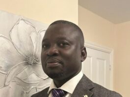 NPP primaries: Sweden Chair dismisses proxy-voting petition, warns of integrity risks