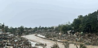 At least 52 dead as typhoon wreaks havoc in the Philippines