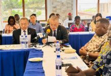 Galamsey Fight: Ambassador calls for more comprehensive media reporting