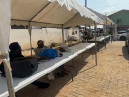 Egg-citing deals as The Multimedia Group’s X’mas Egg Market sells out on Day 1, returns tomorrow