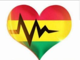 Lightwave eHealth Solutions (LHIMS)