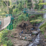 Amedzofe canopy walkway collapses; closed for assessment