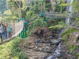 Amedzofe canopy walkway collapses; closed for assessment
