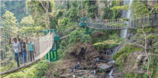 Amedzofe canopy walkway collapses; closed for assessment