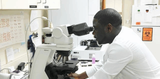Six-year unemployment crisis hits Medical Laboratory Scientists