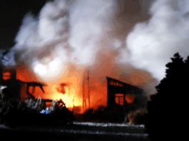 Dozens injured after magnitude 7.5 earthquake strikes northern Japan