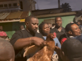 John Dumelo shares farm produce with Ayawaso West residents ahead of Christmas