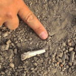 Scientists solve mystery of 3.4-million-year-old foot bones discovered in Ethiopia