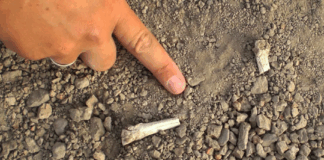 Scientists solve mystery of 3.4-million-year-old foot bones discovered in Ethiopia