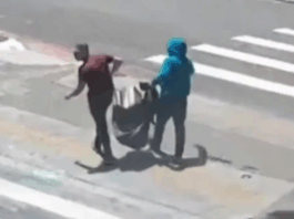 Thieves snatch more than a dozen artworks from Brazil library in daytime heist