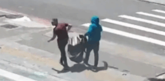 Thieves snatch more than a dozen artworks from Brazil library in daytime heist