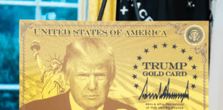 Trump launches ‘gold card’ visa; check how much it costs