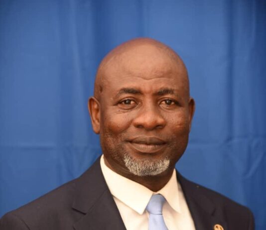 NPP denies involvement in bee attack on NDC supporters