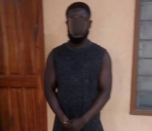 Forestry office attack: Suspected gang leader arrested, two stolen cars recovered