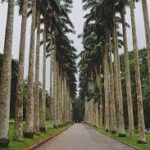 Aburi Botanical Gardens