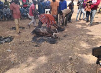 Chief priest performs purification rites, invokes curse on anyone who rekindles Gbeniyiri violence