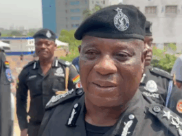 NPP primary: IGP Yohuno tours polling centres to assess security