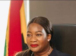 MIIF to consolidate last year’s gains in 2026 – CEO in New Year message