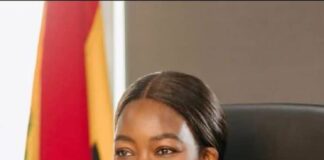 MIIF to consolidate last year’s gains in 2026 – CEO in New Year message