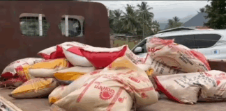 Awaso STEM SHS matron, cook granted bail as assistant matron is arrested