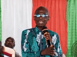 Asiedu Nketia commends unity in Jomoro constituency after electoral victories
