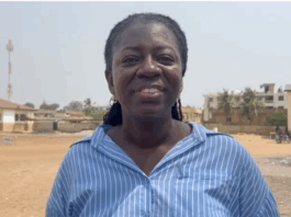 Bawumia’s victory sealed by numbers, not prophecy – Sheila Bartels