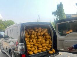 Police seize over 1,600 parcels of suspected narcotics on Akosombo-Tema road