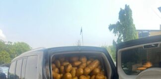 Police seize over 1,600 parcels of suspected narcotics on Akosombo-Tema road