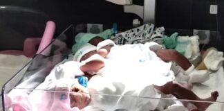 Surrogate mother delivers quadruplets at Pokuase