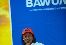 Bawumia’s character reflects genuine national progress, not personal ambition – Akosua Manu asserts