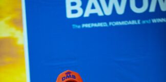 Bawumia’s character reflects genuine national progress, not personal ambition – Akosua Manu asserts