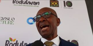 Declining enrolment in local‑language courses threatens Ghana’s linguistic heritage, says Scholar