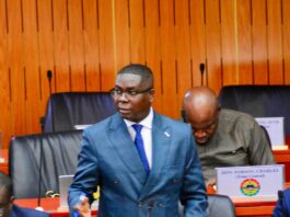 ‘A growing economy with unemployed youth is a factory of frustration’ — Gideon Boako