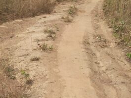 MP pledges to repair poor roads in Nkwanta South