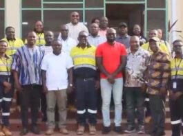 Parliamentary Environment Committee to crack down on mining firms flouting environmental laws