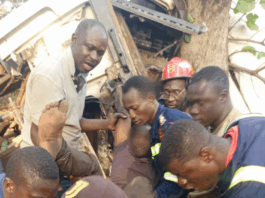 Driver trapped after truck crashes into tree at Sawla